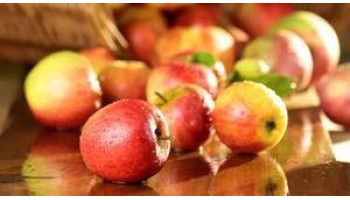 Что такое молодильные яблоки в сказках и есть ли они в реальности