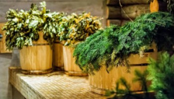 Какие травы заваривают в баню: применение отваров и настоев