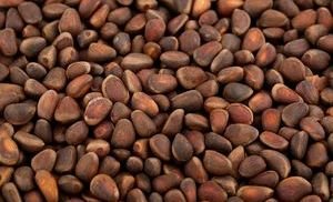 Кедровые орехи — уникальный продукт