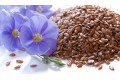 Семена льна - лучшее средство для поддержания здоровья и красоты