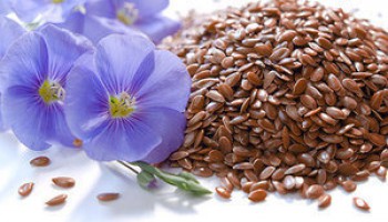 Семена льна - лучшее средство для поддержания здоровья и красоты