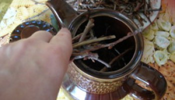 Завариваем чай из собственного сада