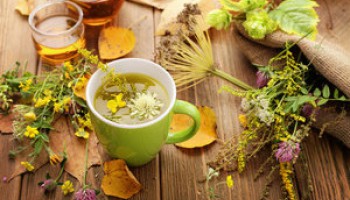 Чем полезны травяные, цветочные и ягодные чаи