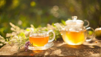 Как выбрать чайник для заваривания травяного чая